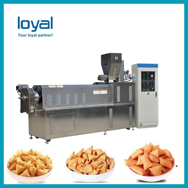 Automatic 3d & 2d Snack Crispy Chips/screw/shell/extruded Pellet Machine/fried Pellets Make