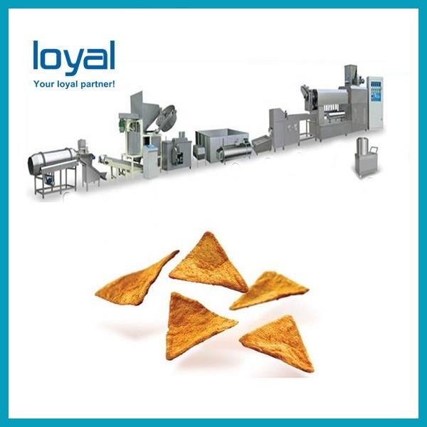 Twin-Screw shell bulges extruded fried pellet chips making machine